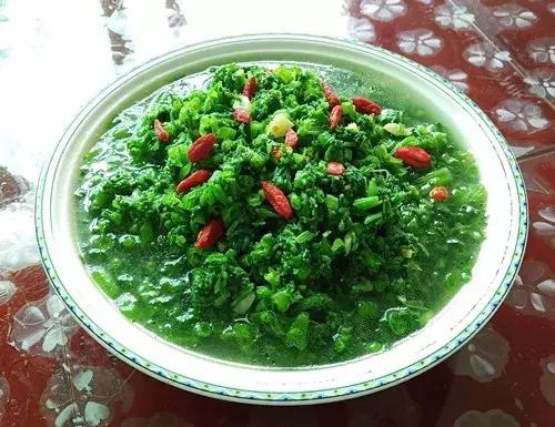 菜農種植無需噴農藥的蔬菜，不僅栽培簡單、而且效益高