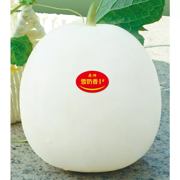薄皮甜瓜，哪個(gè)品種最好呢？畝產(chǎn)高達(dá)10萬(wàn)，附4種市場(chǎng)爆款品種