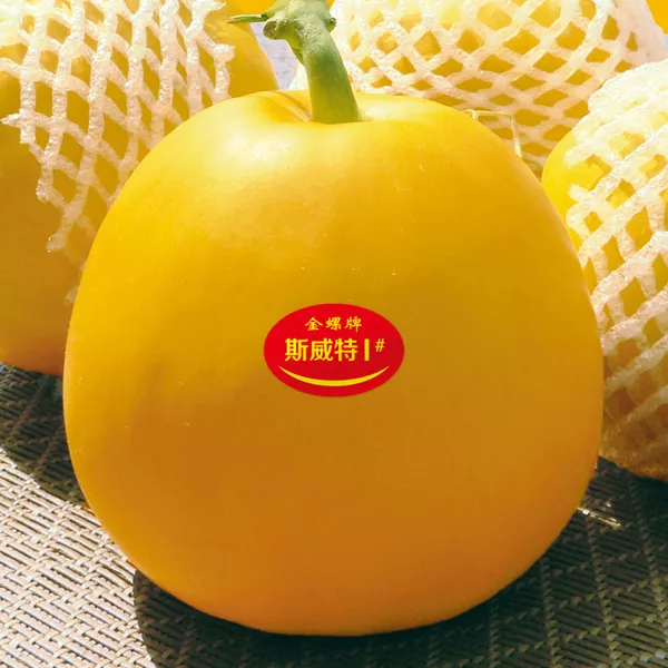 薄皮甜瓜，哪個(gè)品種最好呢？畝產(chǎn)高達(dá)10萬(wàn)，附4種市場(chǎng)爆款品種