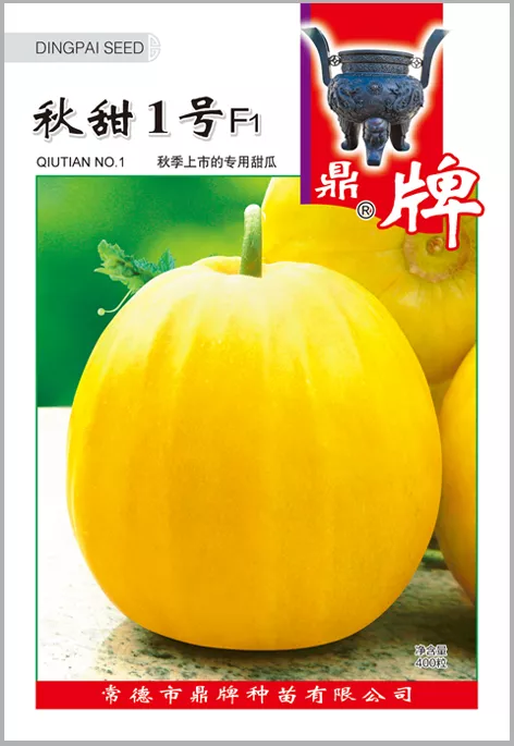 高溫季節(jié)種植甜瓜，什么品種最好？這個品種是秋季上市的專用品種