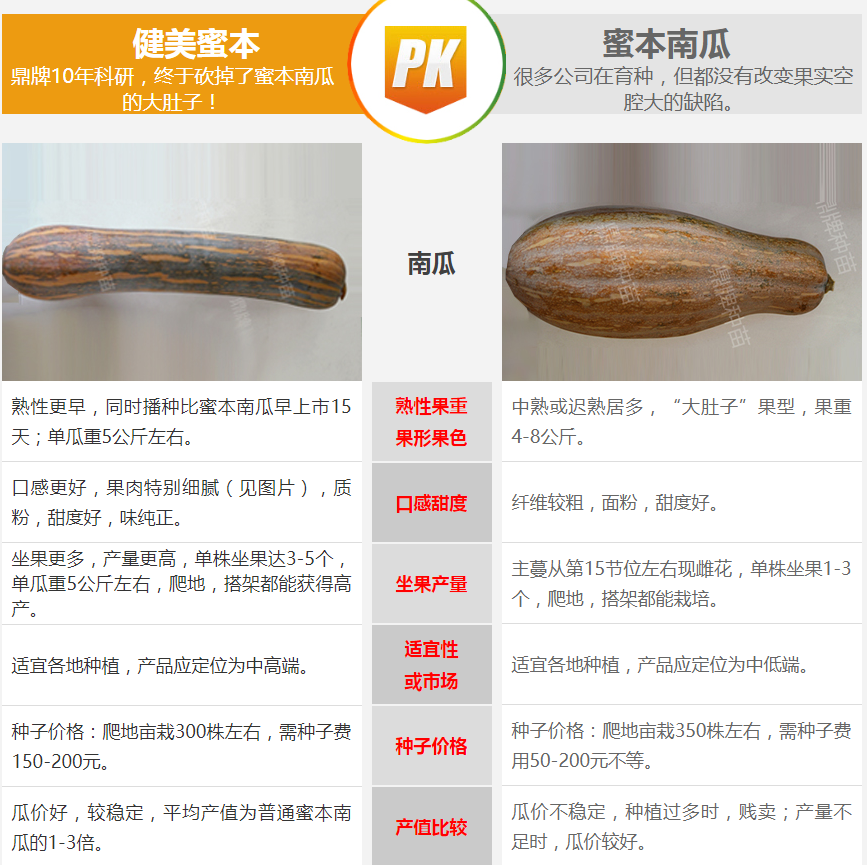 生吃都好吃南瓜新品種，沒(méi)有大肚子，肉質(zhì)更密致，農(nóng)戶試種下