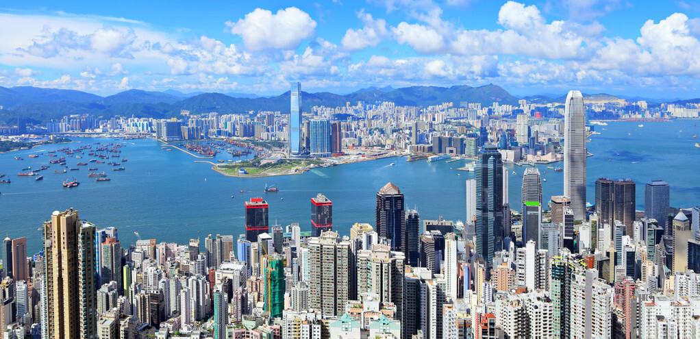 這個絲瓜畝產(chǎn)可達8000公斤，菜農(nóng)2021年致富的絲瓜品種