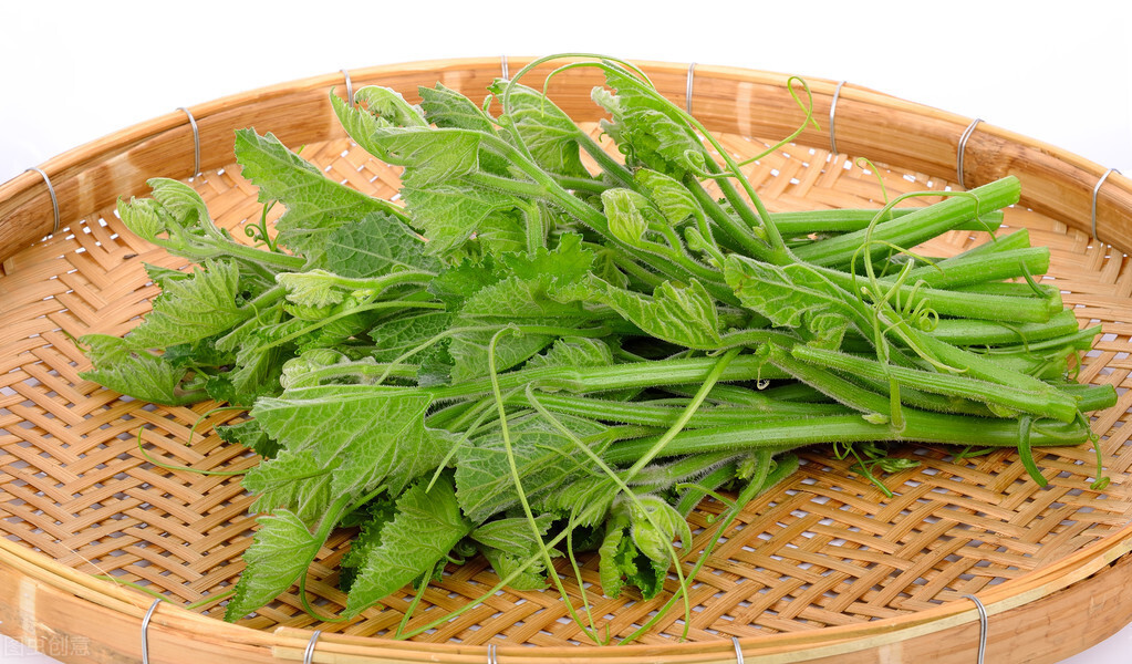 種這種綠葉菜，栽培輕松，畝產(chǎn)值過萬元，菜農(nóng)表示很劃算