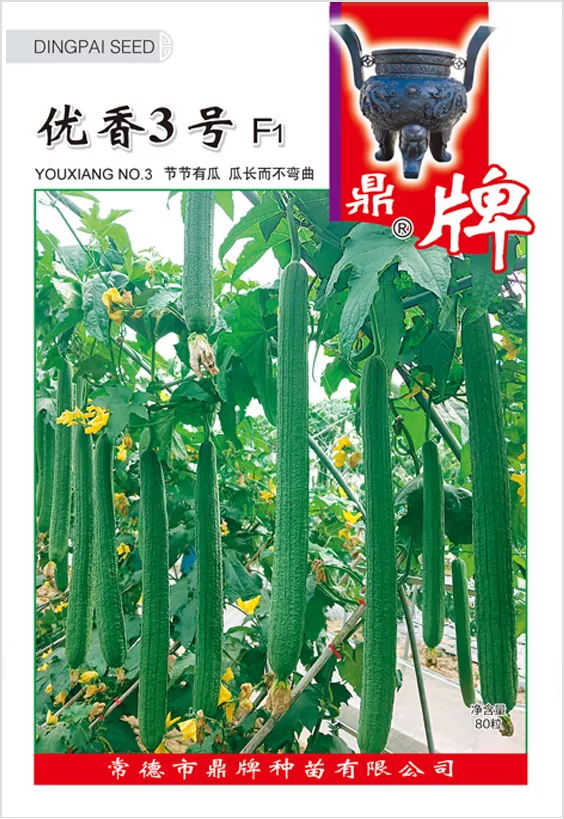 它是絲瓜種植戶的新選擇，節(jié)節(jié)有瓜，瓜長而不彎曲