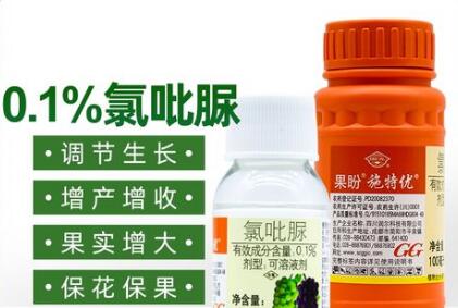 蔬菜種子栽培技術(shù)-<b>正確使用“氯吡脲”，瓜類增產(chǎn)30～50%</b>