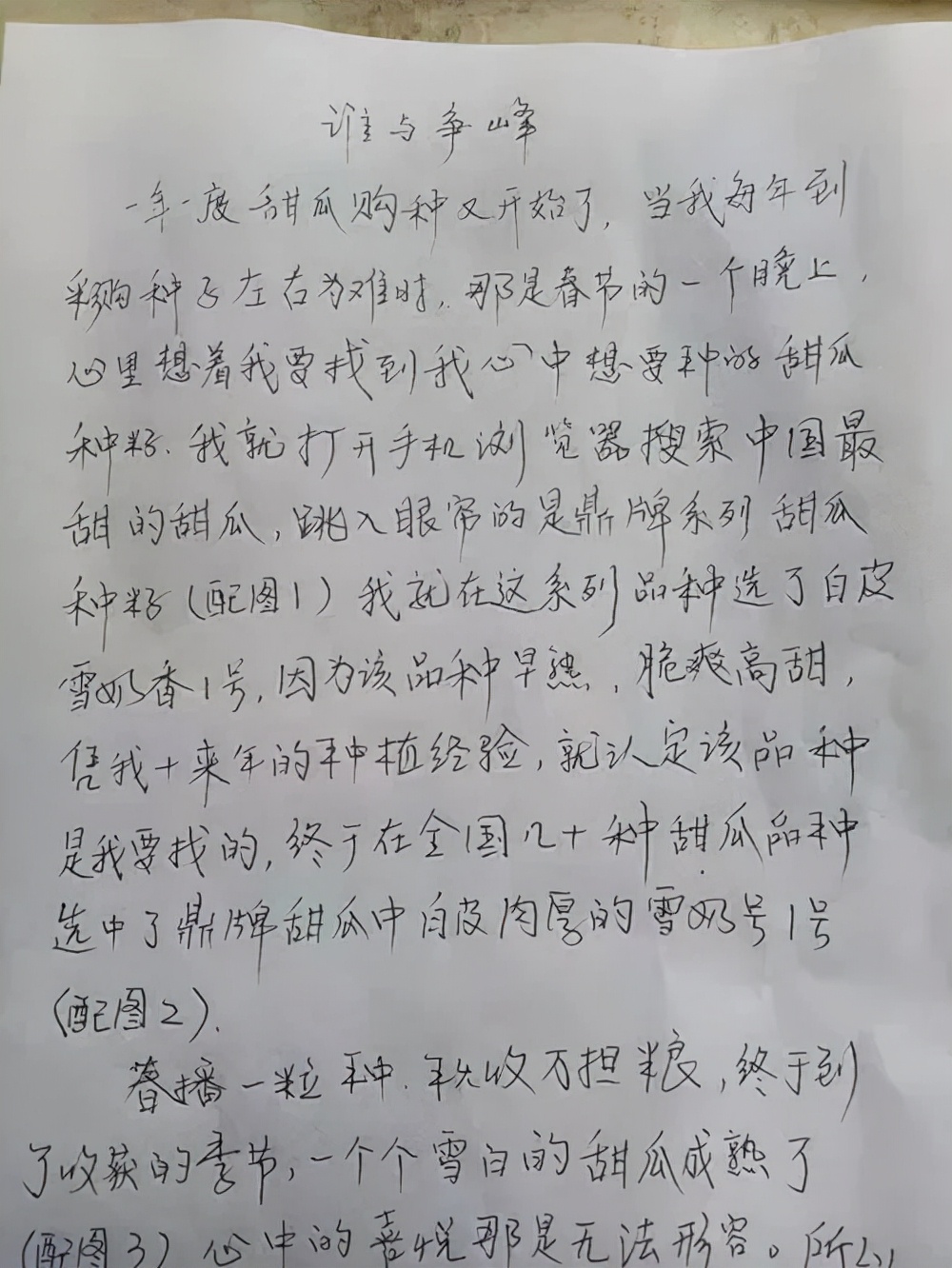 河南焦作的李向林今年種植甜瓜新品種，客戶直接拉貨走人