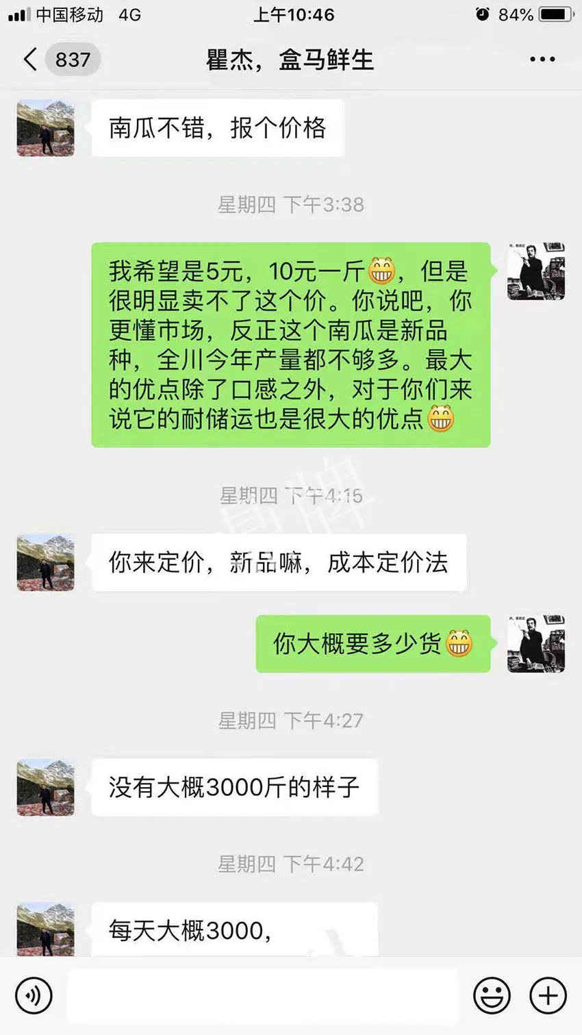四川農(nóng)戶今年種“健美蜜本”南瓜產(chǎn)量高，品質(zhì)好，感覺巴適得很