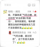 蔬菜種子種植戶客戶點(diǎn)評(píng)-“氣死白糖，甜過初戀”，您知道或體驗(yàn)過這句話嗎